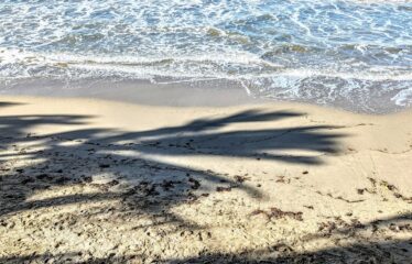 Ocean Beach View – Cabarete Morning Breeze